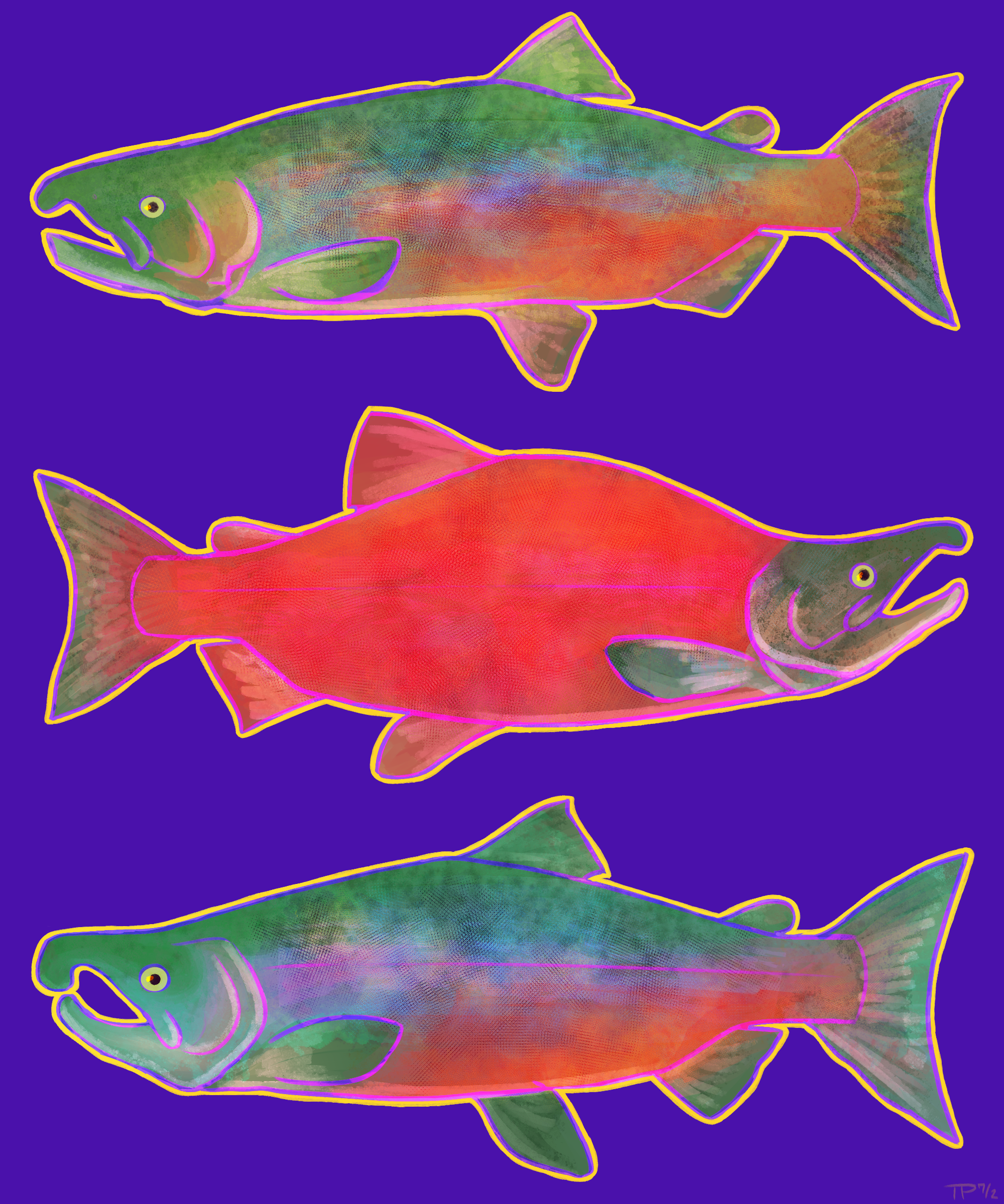 SalmonThumbnail